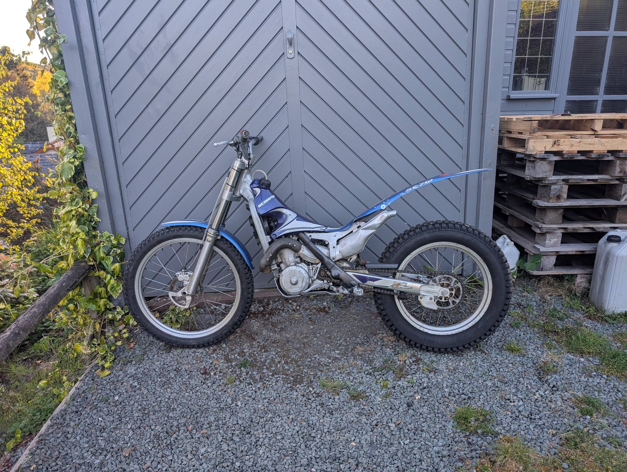 Scorpa SY250 trials bike for sale in UK | Caersws, Powys