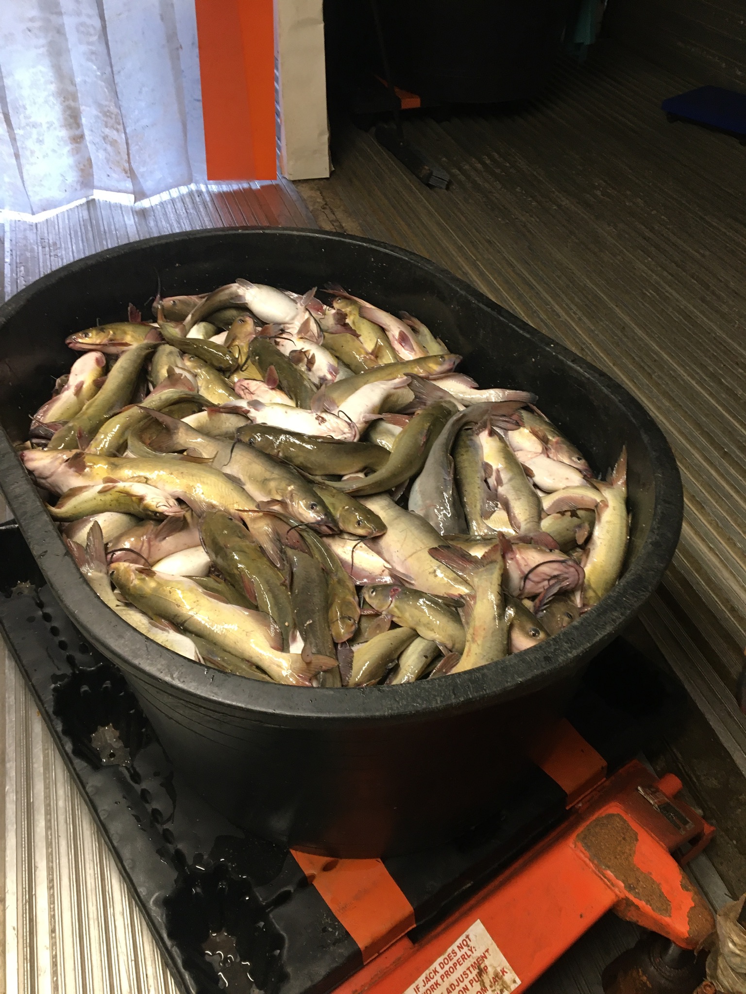 Tri State Fish market | South Pittsburg TN
