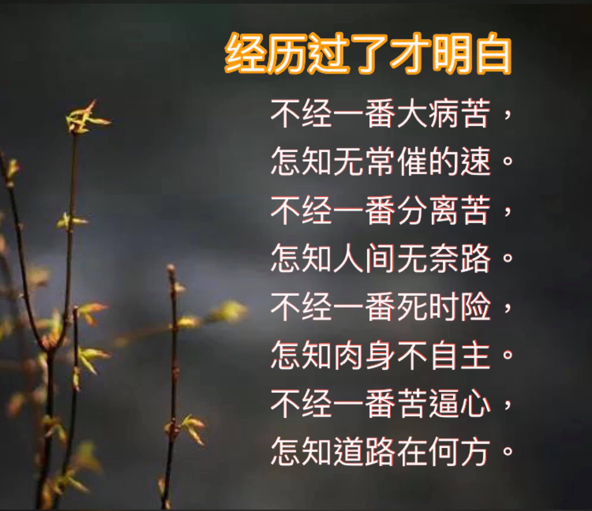 南無阿彌陀佛🙏🏻 - 马来西亚法宝结缘区 （免费结缘） | Facebook