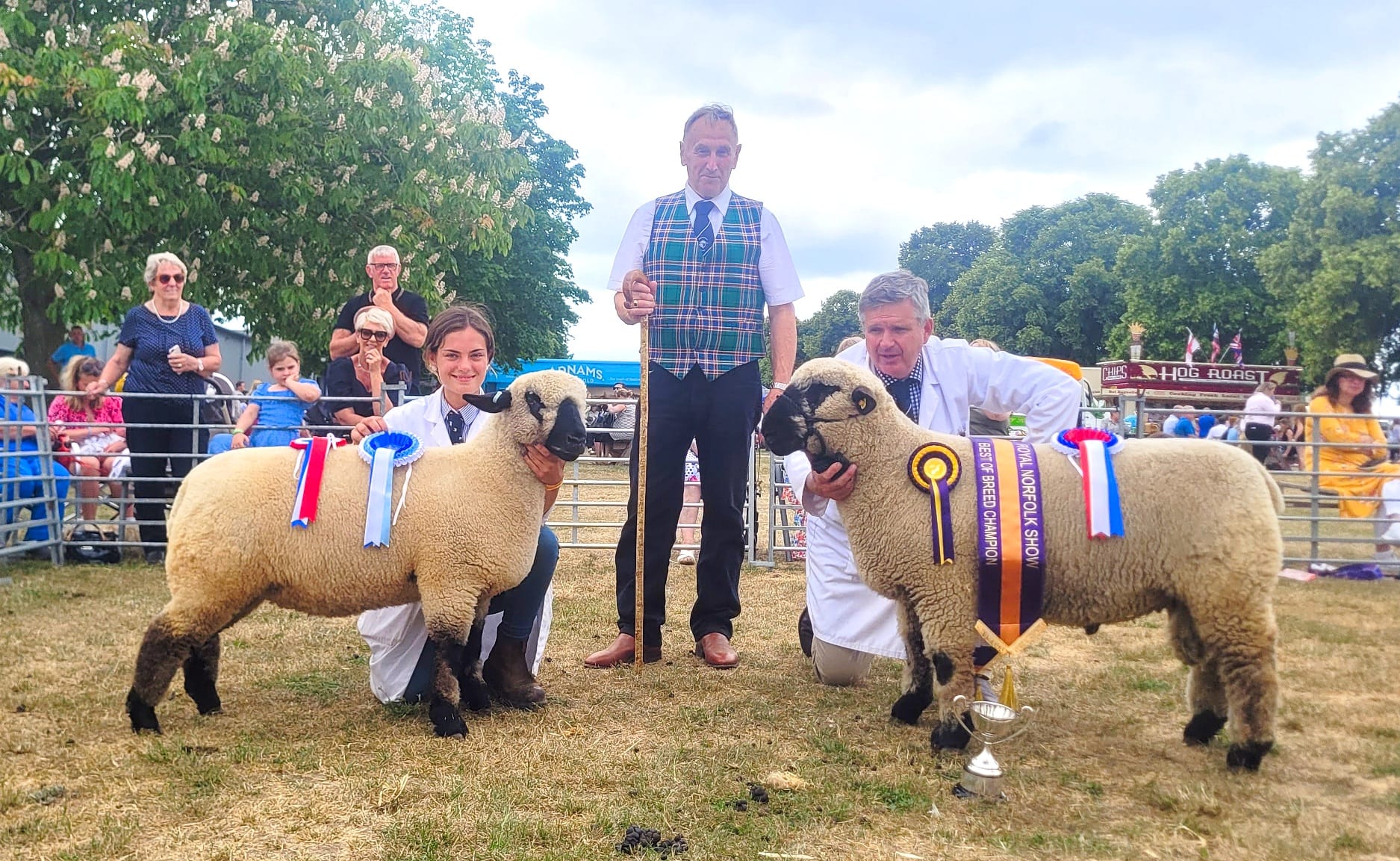 Congratulat... - Eastern Area Hampshire Down Breed Association | Facebook