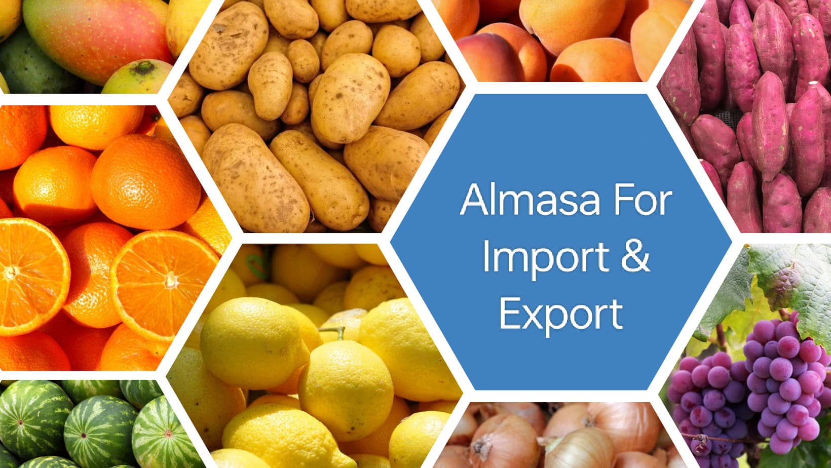 Almasa For Import & Export | Alexandria