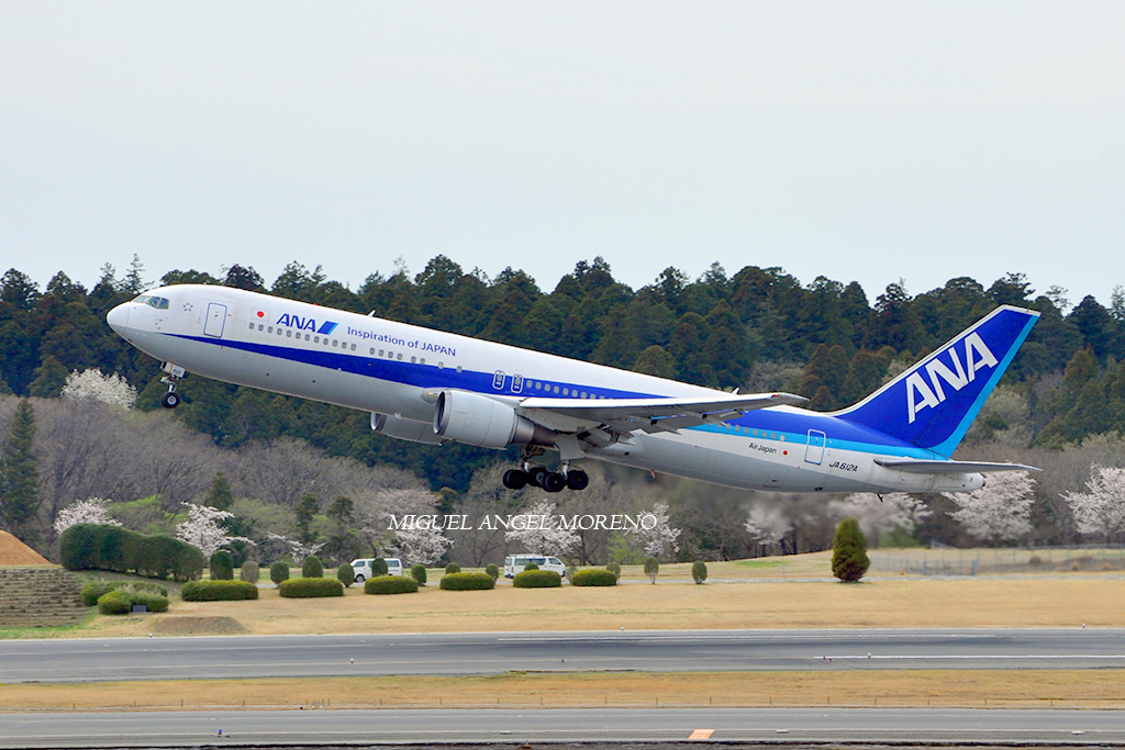 All Nippon Airways JA8454 B737-281Adv cn 21768/586 Niigata(KIJ) 21