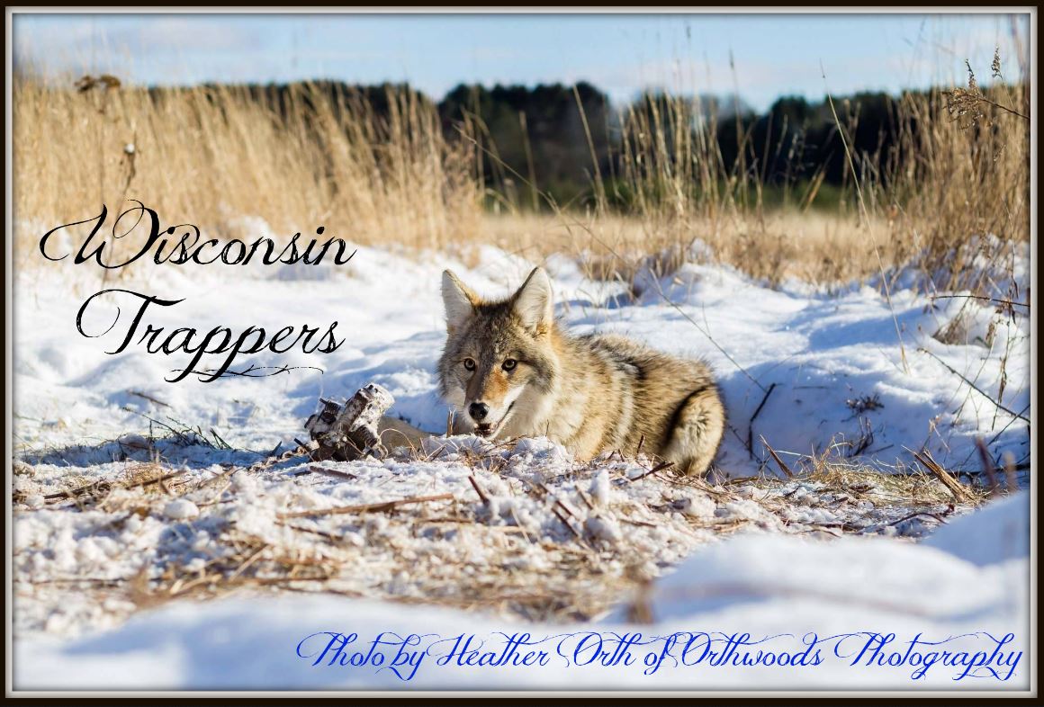Wisconsin Trappers