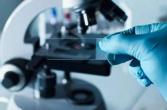 CruzLabor Laboratório de Análises Clínicas | Cubatão SP