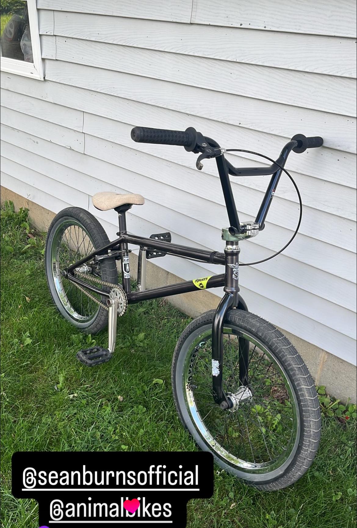 Frame: Mongoose Thrive 24
