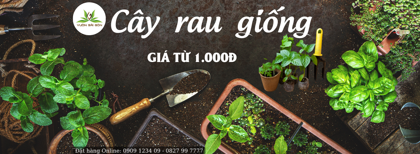 L.A Green -... - L.A Green - Cơ sở cây giống rau nông nghiệp