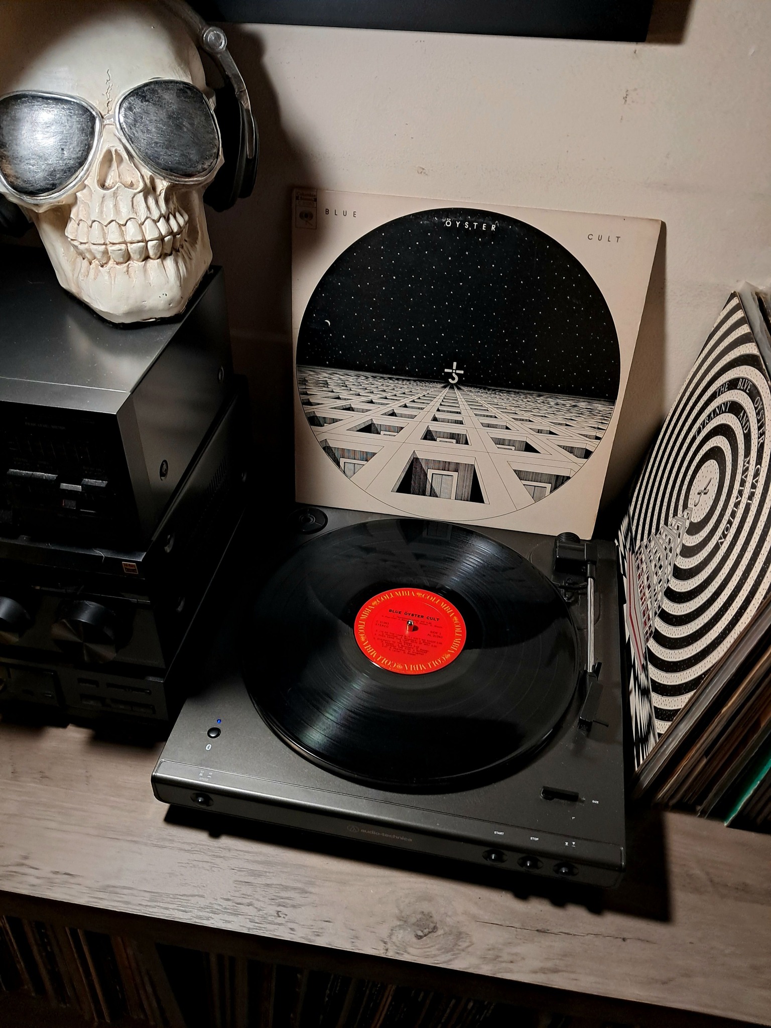 The Blue Beats' 'The Collector' on Columbia Records
