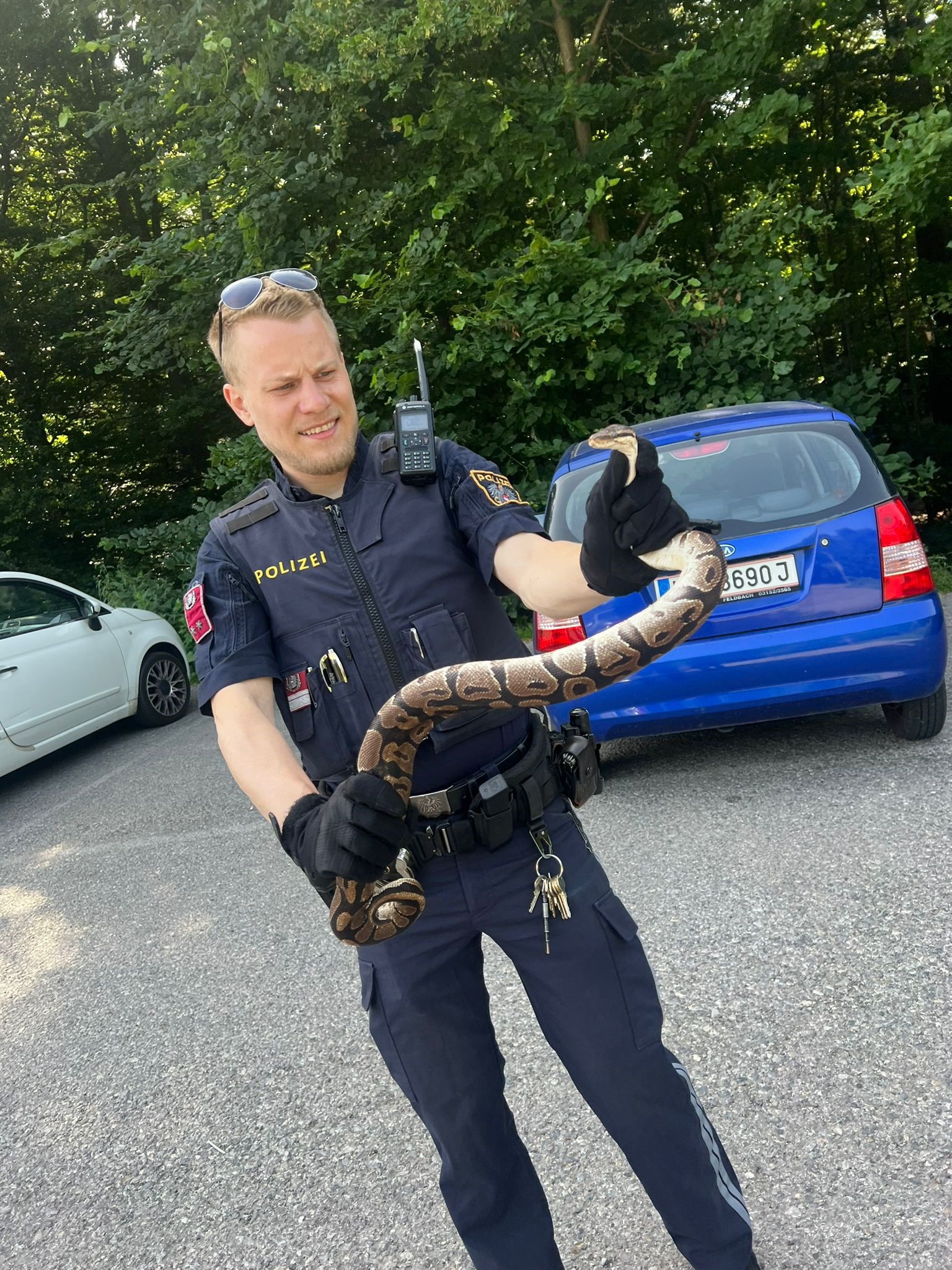 Polizei Wien - Abseits des Trubels am Donauinselfest wurde... | Facebook