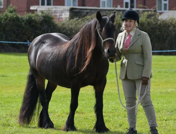 Inhand-Ridden Show♡♡ Sunday 6th December