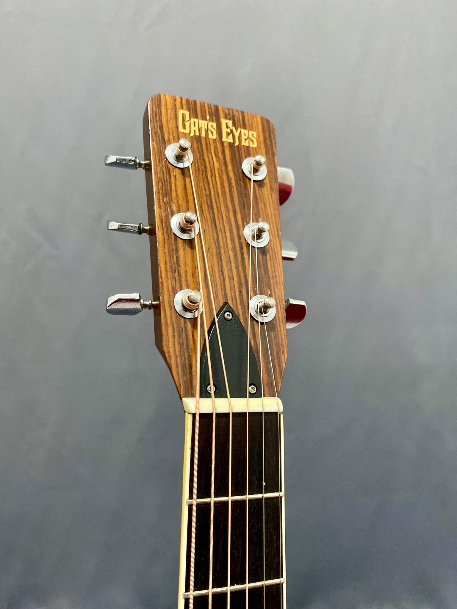 1976 Tokai Cat's Eye CE-1000 copy in excellent condition