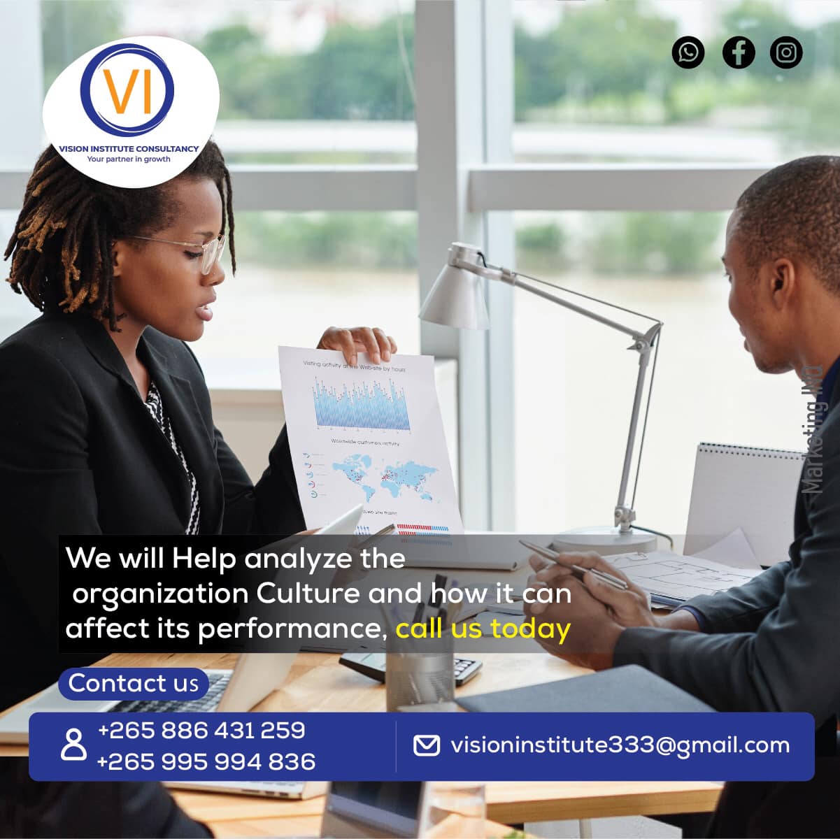 Vision Institute Consultancy