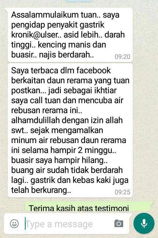 Daun Rerama Mengikut Kajian Dari Universiti Putra Malaysia Upm Daun Rerama Memiliki Ciri Ciri Anti Kanser Selain Itu Daun Ini Juga Mempunyai 13 Jenis Sebatian Misteri Yg Blh Mengubati Pelbagai Jenis Penyakit Feedback