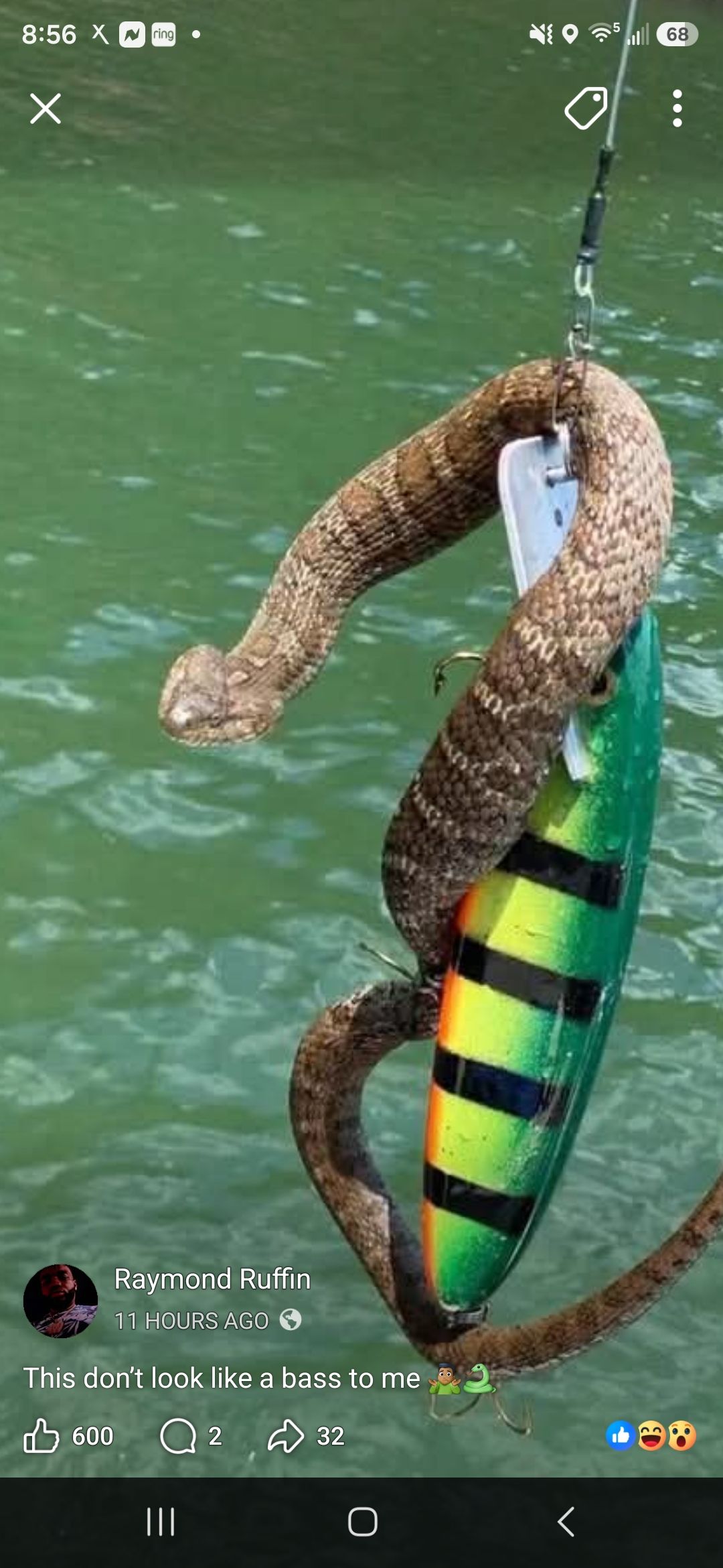 bass lure that looks like snake Topwater Lures Fishing Bionic Tackle Wobbler Snakehead Bass 5pcs Freshwater Crank baits 6.0g/5cm Floating isca Artificial Hard Plastic Bait : Sports & Outdoors Is a common water snake