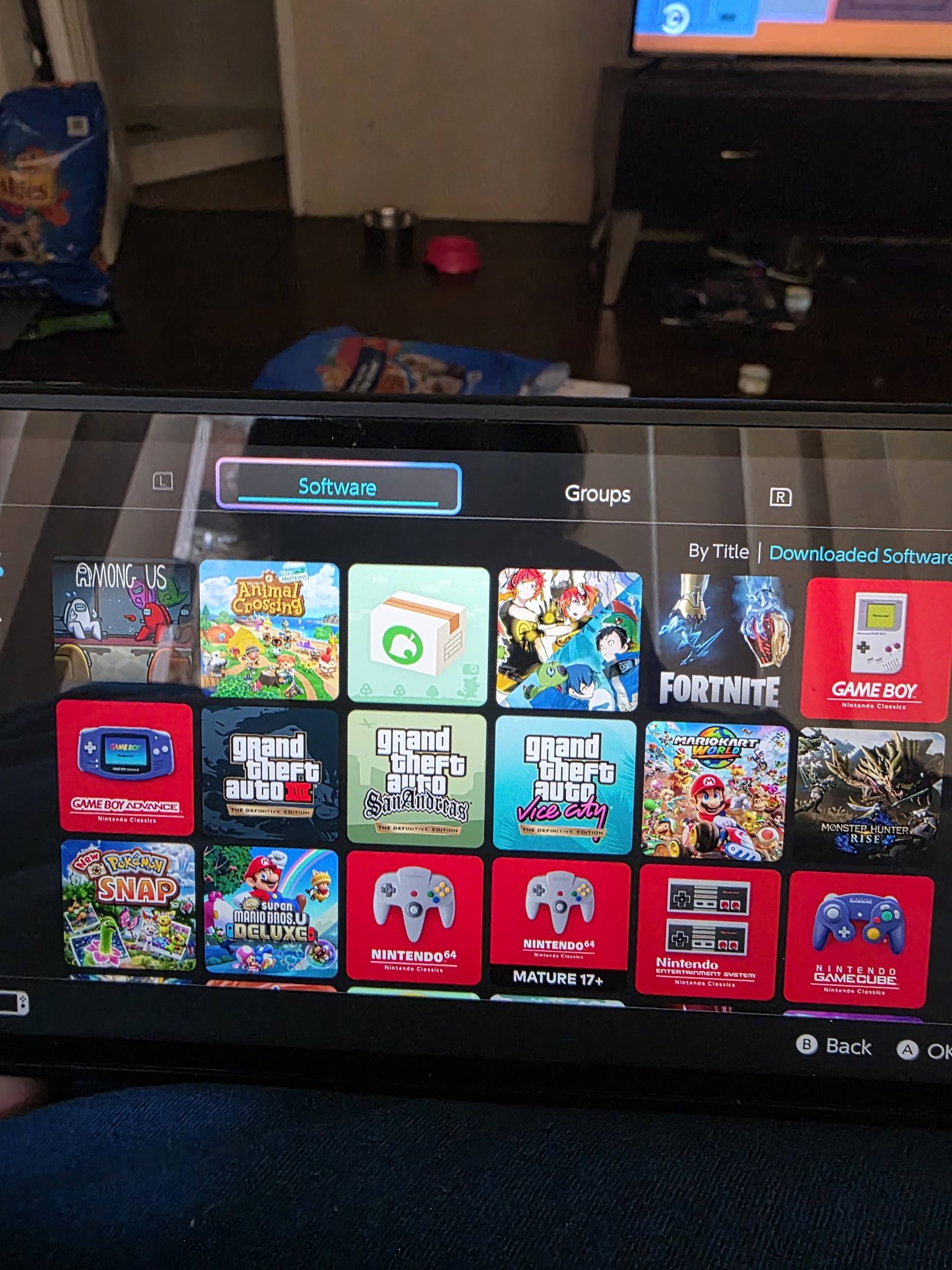 Nintendo Switch game collection and online play