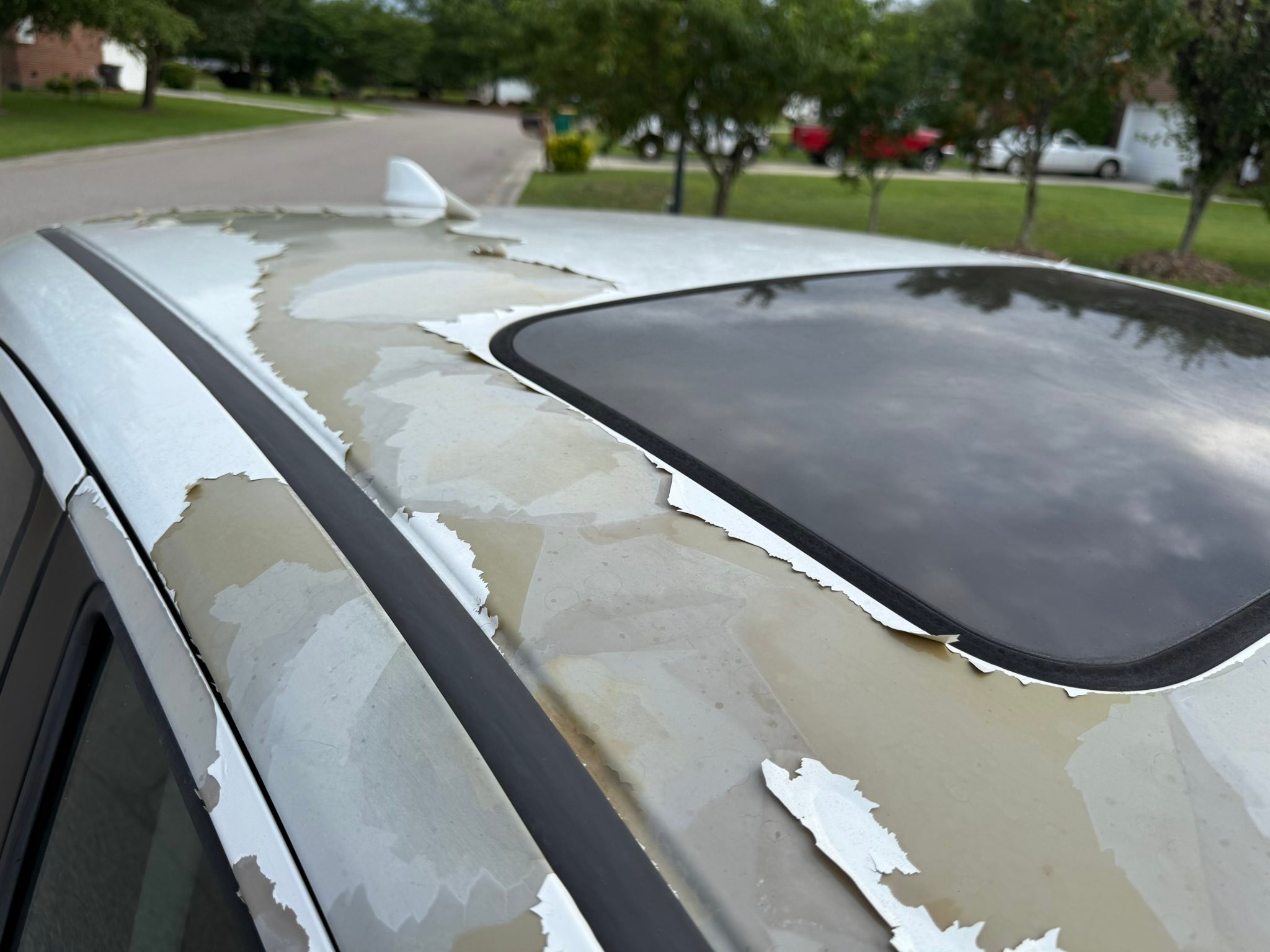 Anyone has issues about paints for hrv? It start peel after five year.