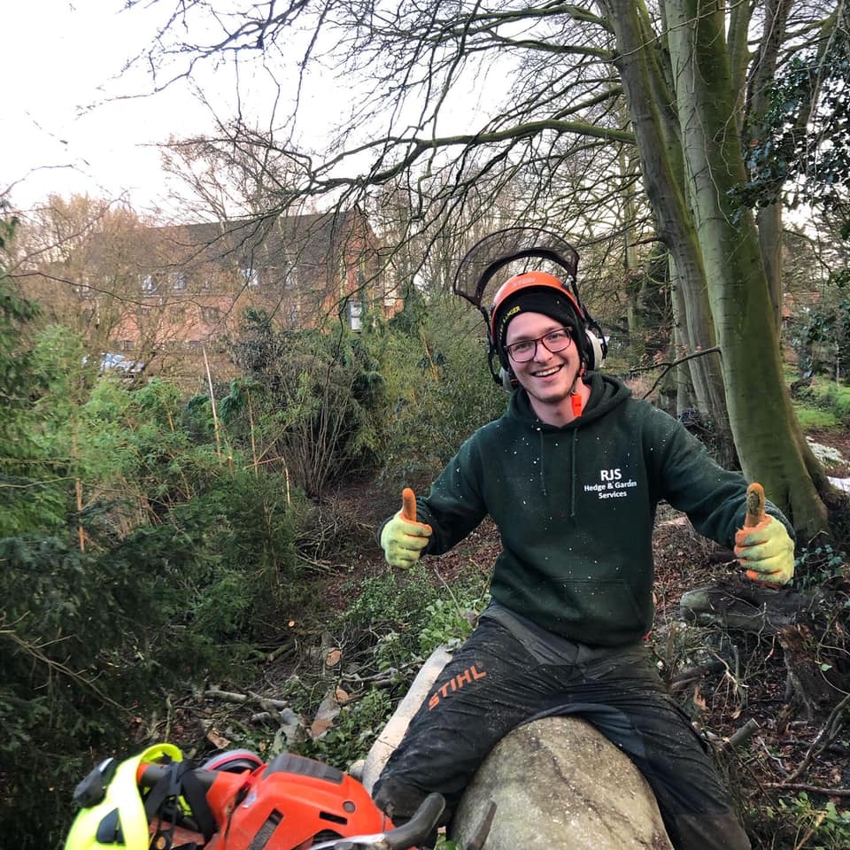 Henry’s Tree Services added a new... - Henry’s Tree Services