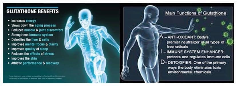 the importance of glutathione in human disease Metabolism and Its Implications for Health the importance of glutathione in