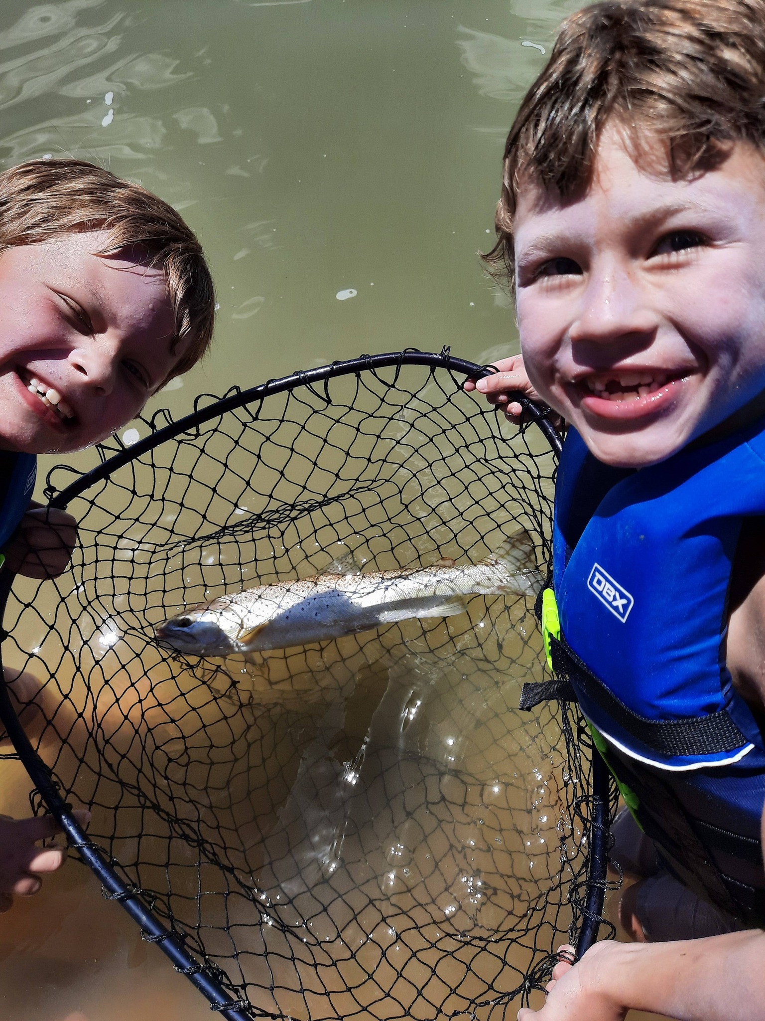 echo fishing net BLISSWILL Large with Handle Collapsible Fish Landing with Extendable Handle Knotless Nylon Fishing Safe Fish Net Durable Telescopic Dip Foldable : Sports & Outdoors provides the angler with the advantage of hands Fishing Nets  Eco Fishing