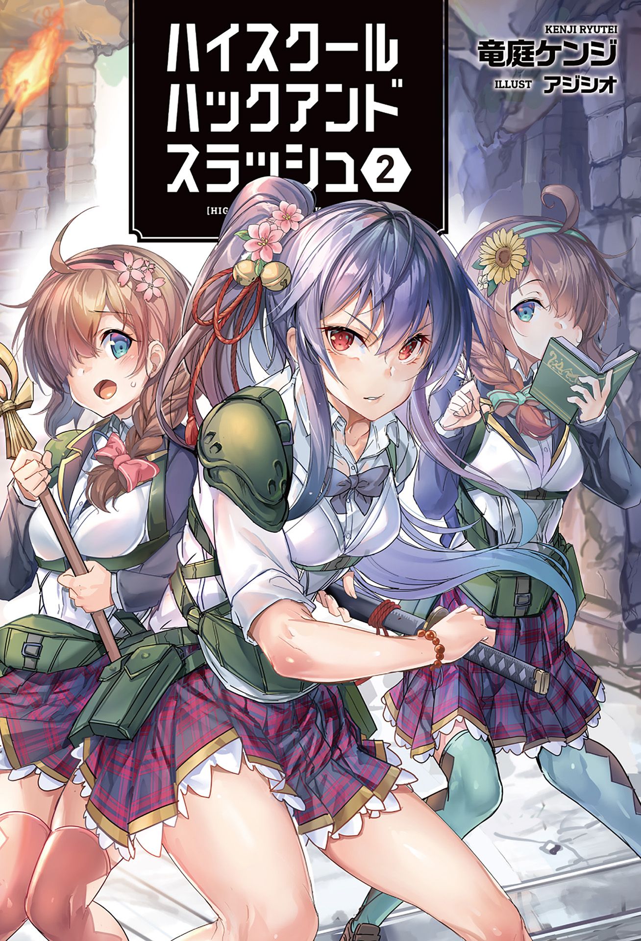 High school hack and slash light novel