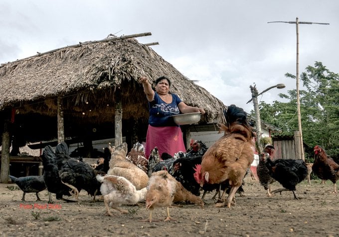 Los senués bautizan la casa para... - Gerencia Indígena