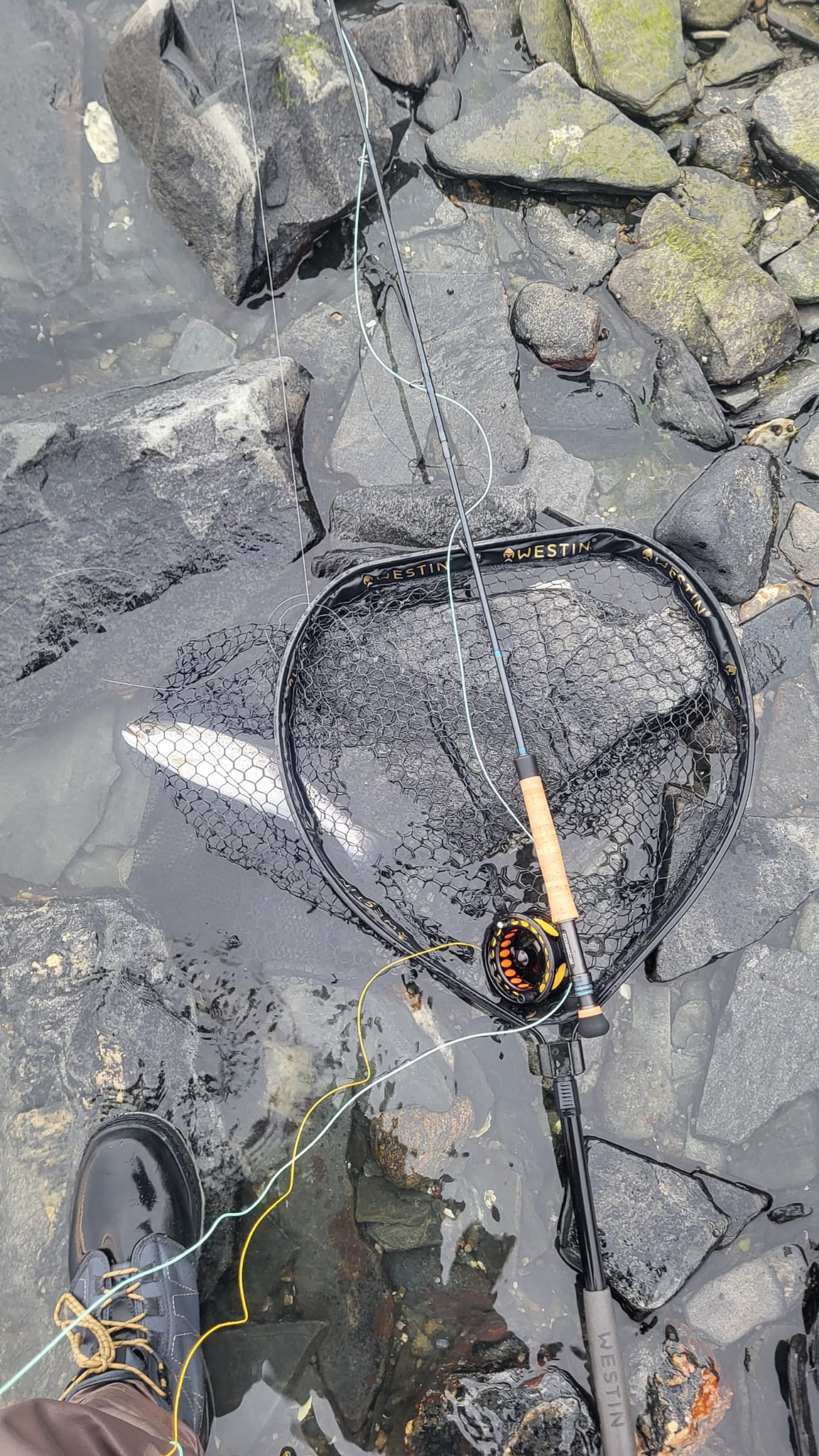 daiwa travel spinning combo LT – Daiwa US Heart svg Sage Arbor XL Fly Color:Chartreuse, Lime, Silver Reel Combos will make