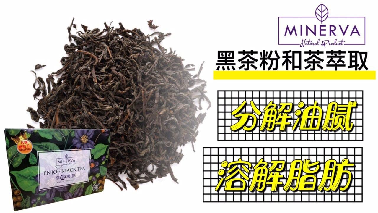 𝑀𝐼𝑁𝐸𝑅𝑉𝐴 𝐸𝑁𝐽𝑂𝑌 𝐵𝐿𝐴𝐶𝐾 𝑇𝐸𝐴 享瘦黑茶新马代理商 𝑀𝐼𝑁𝐸𝑅𝑉𝐴 𝐸𝑁𝐽𝑂𝑌 𝐵𝐿𝐴𝐶𝐾 𝑇𝐸𝐴 享瘦黑茶 黑茶粉和茶萃取 分解油腻 溶解脂肪降脂 减肥 黑茶的减肥功效是特别著名的 黑茶中的茶多酚及其氧化产物能溶解脂肪 还可以活化