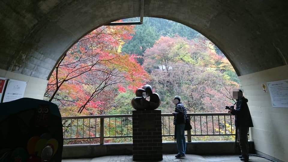 大子町観光情報 - 【観光スポット情報】 今年の「袋田の滝」の紅葉の様子です（11/23撮影） .... | Facebook