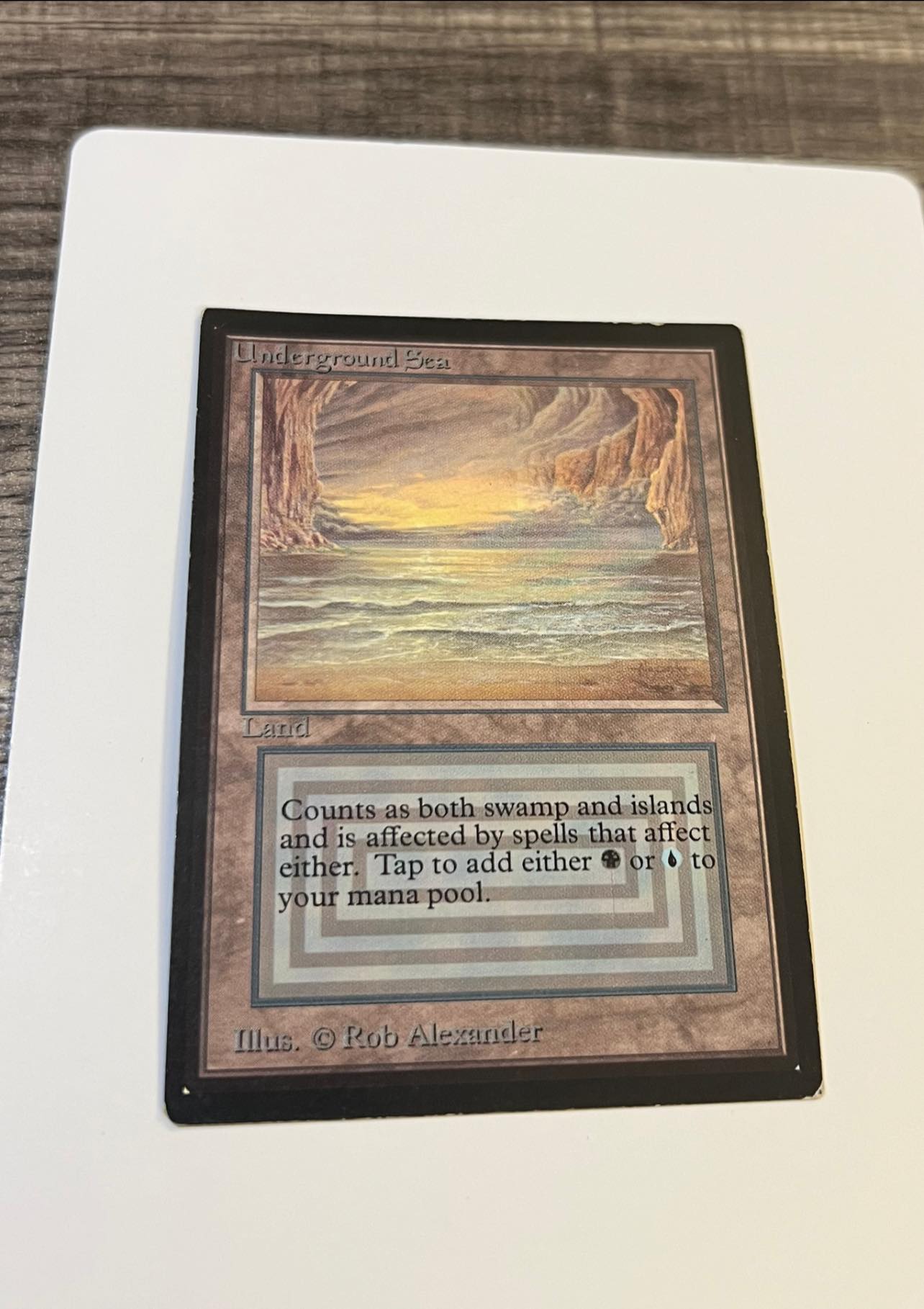 mtg card borders Decks & More Compatible with Magic The Gathering: 100 Vintage White Border Basic Lands - 20 Swamp, Mountain, Forest, Plains, Island FWB Foreign White Bordered