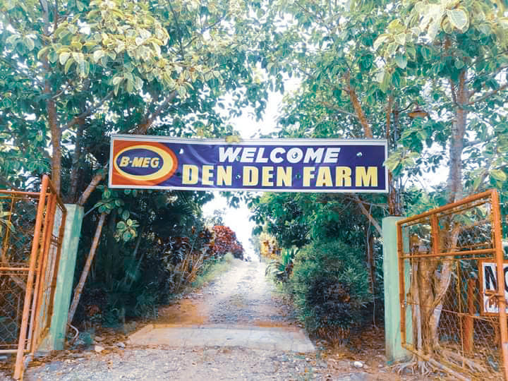 Starting March 27 denden farm are... - Den Den Agri Tourism