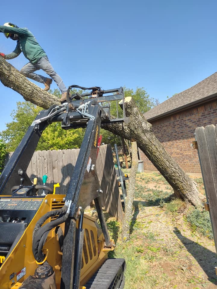 Spirit of Excellence Tree Service | Rio Vista TX