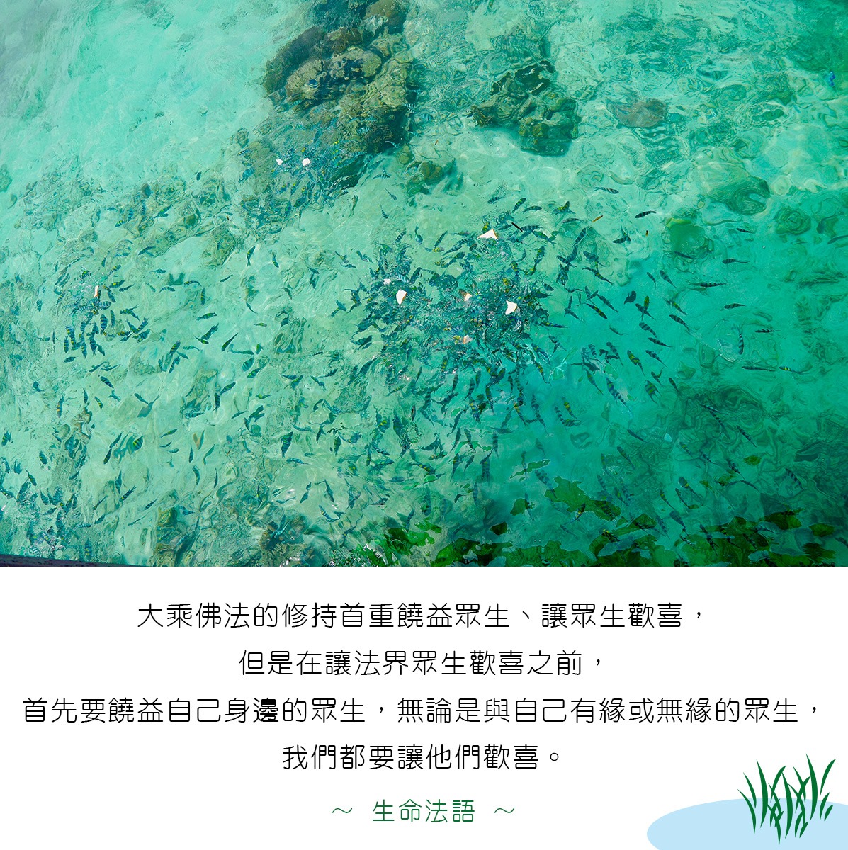 中華護生協會 - 🍀【生命法語】🍀 大乘佛法的修持首重饒益眾生、讓眾生歡喜， 但是在讓法界眾生歡喜之前，... | Facebook