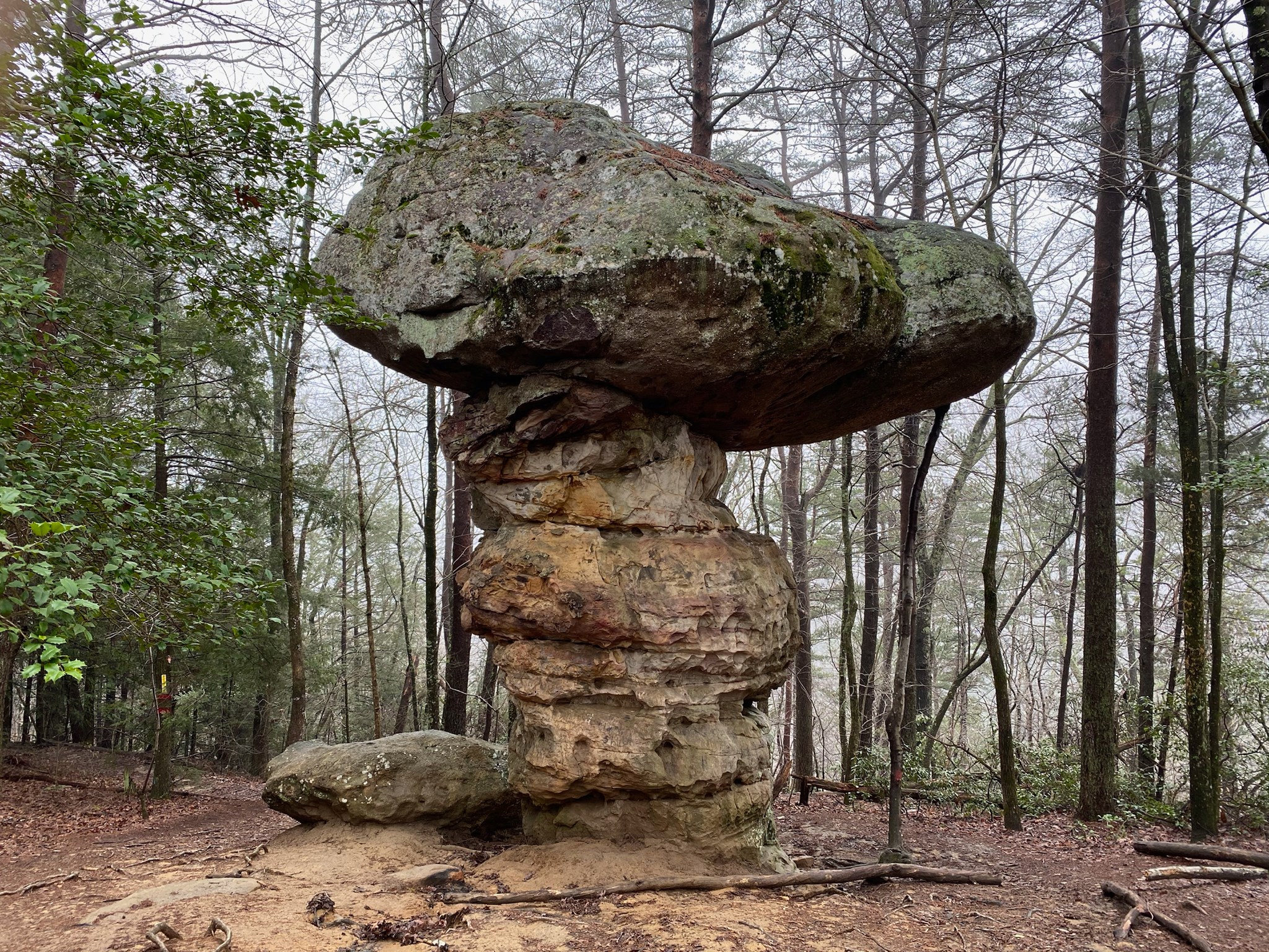 UTC Geology - Mushroom Rock, a great example of...