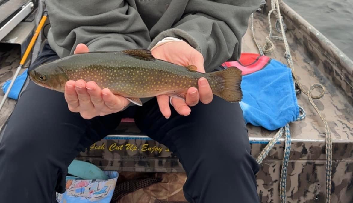 e Luks、TROUT FISHERMEN,BERK HILLS e Luks、TROUT FISHERMEN,BERK HILLS MN Daily Update: Spawning by
