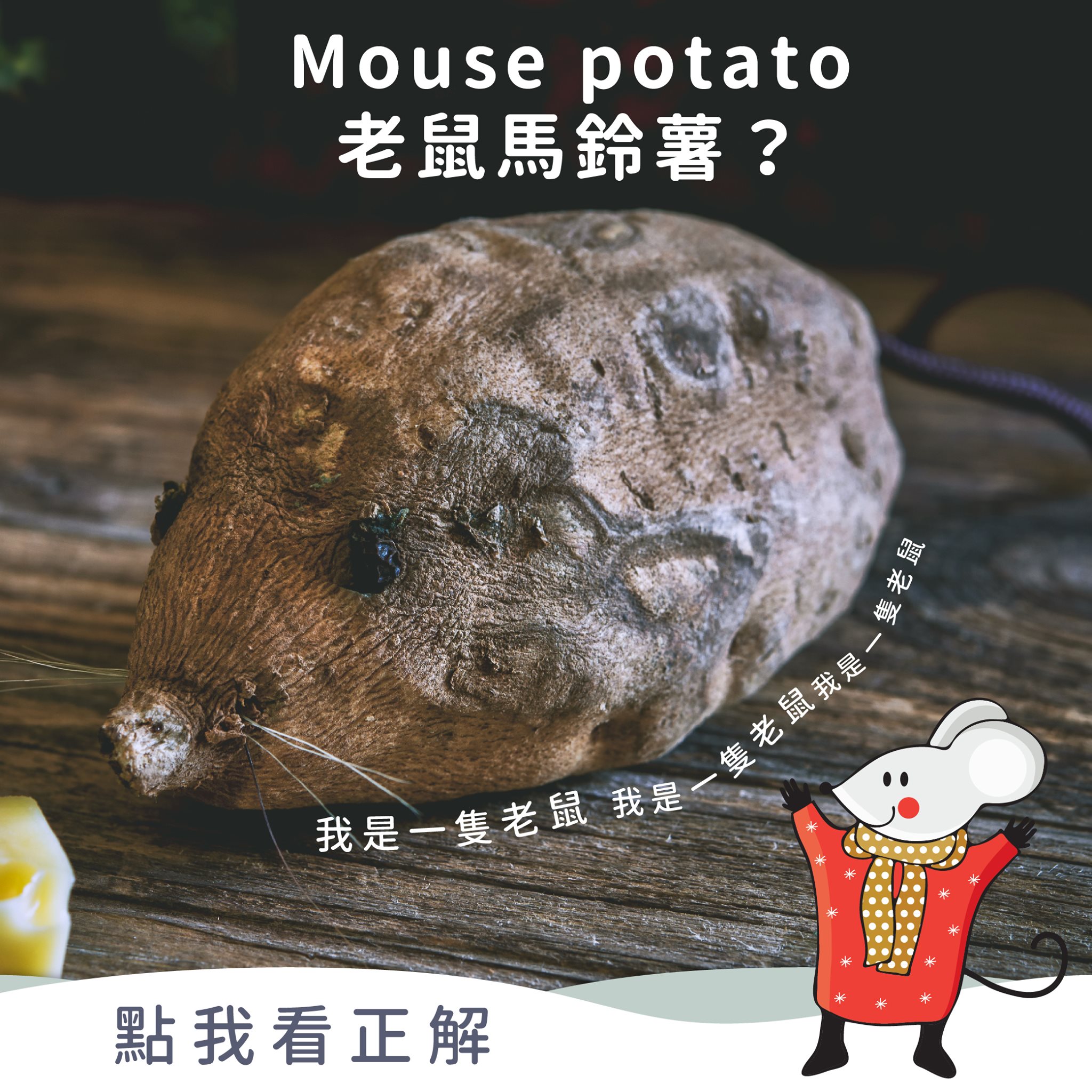 TutorABC - Mouse potato 電腦迷 例句：昨天的電腦展裡面擠滿了電腦迷。Yesterday's computer expo ...