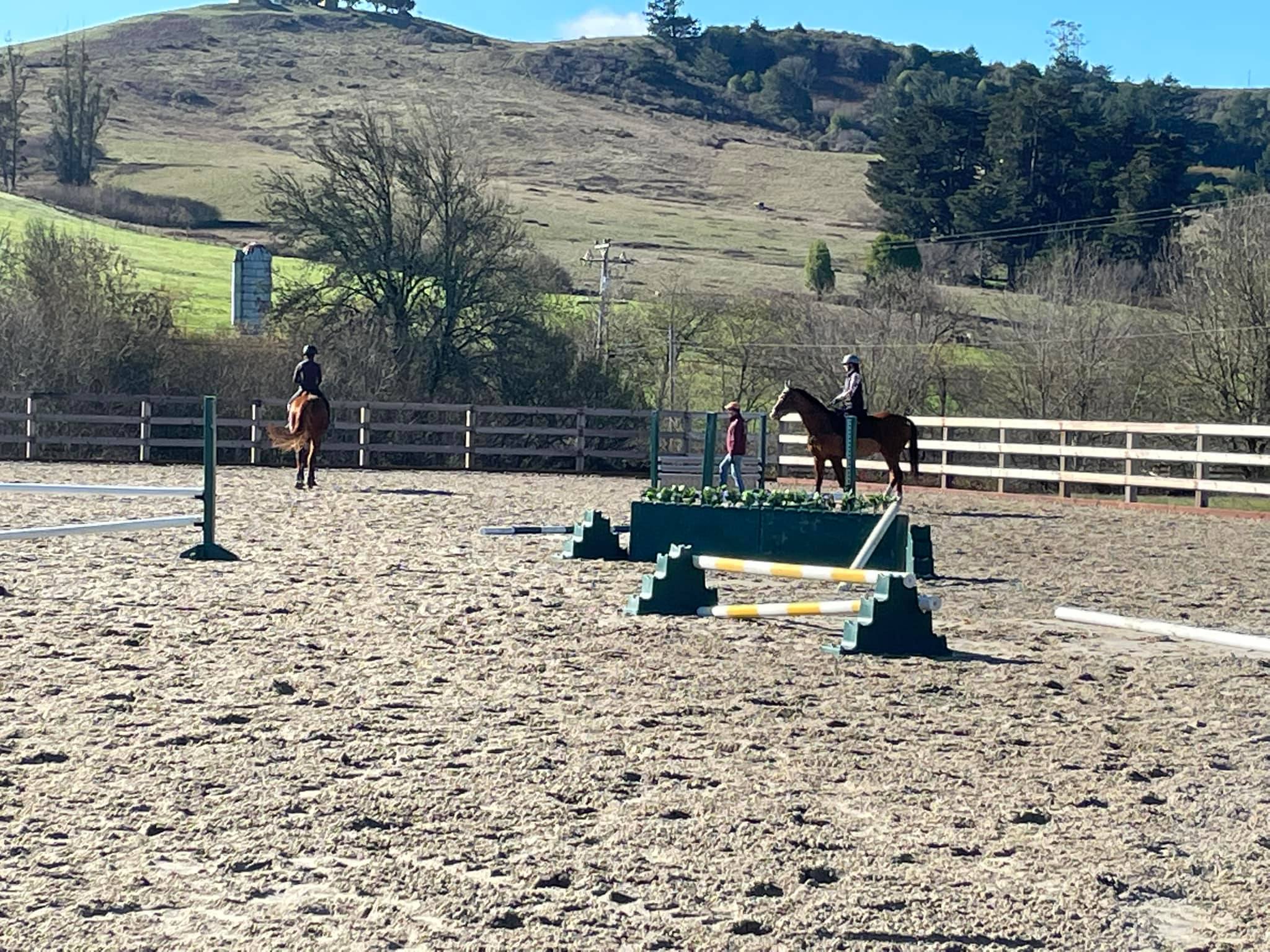 Bodega Country Equestrian | Bodega CA