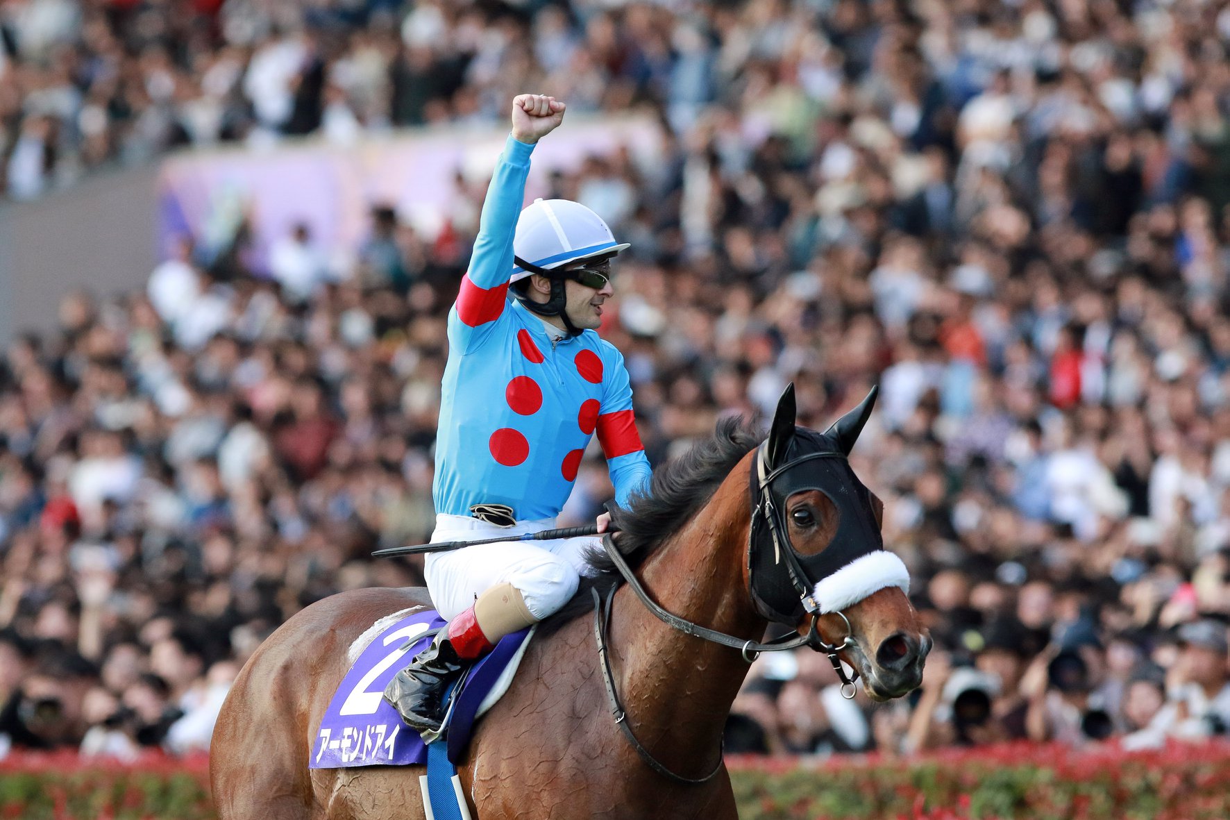 アーモンドアイ Almond Eye First Japanese Horse To Capture Eight