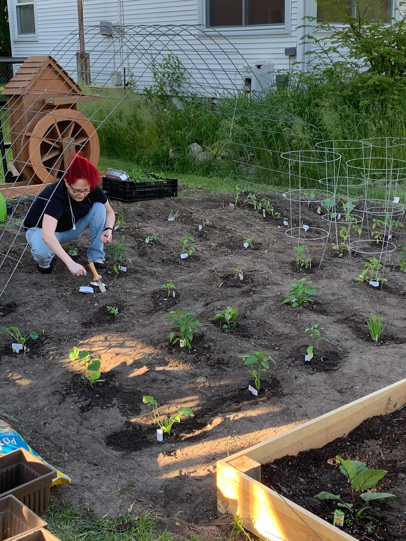 The... - Mt. Pleasant Sharing Garden & Organic Sanctuary | Facebook