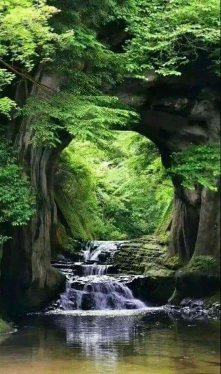 Amazing Views