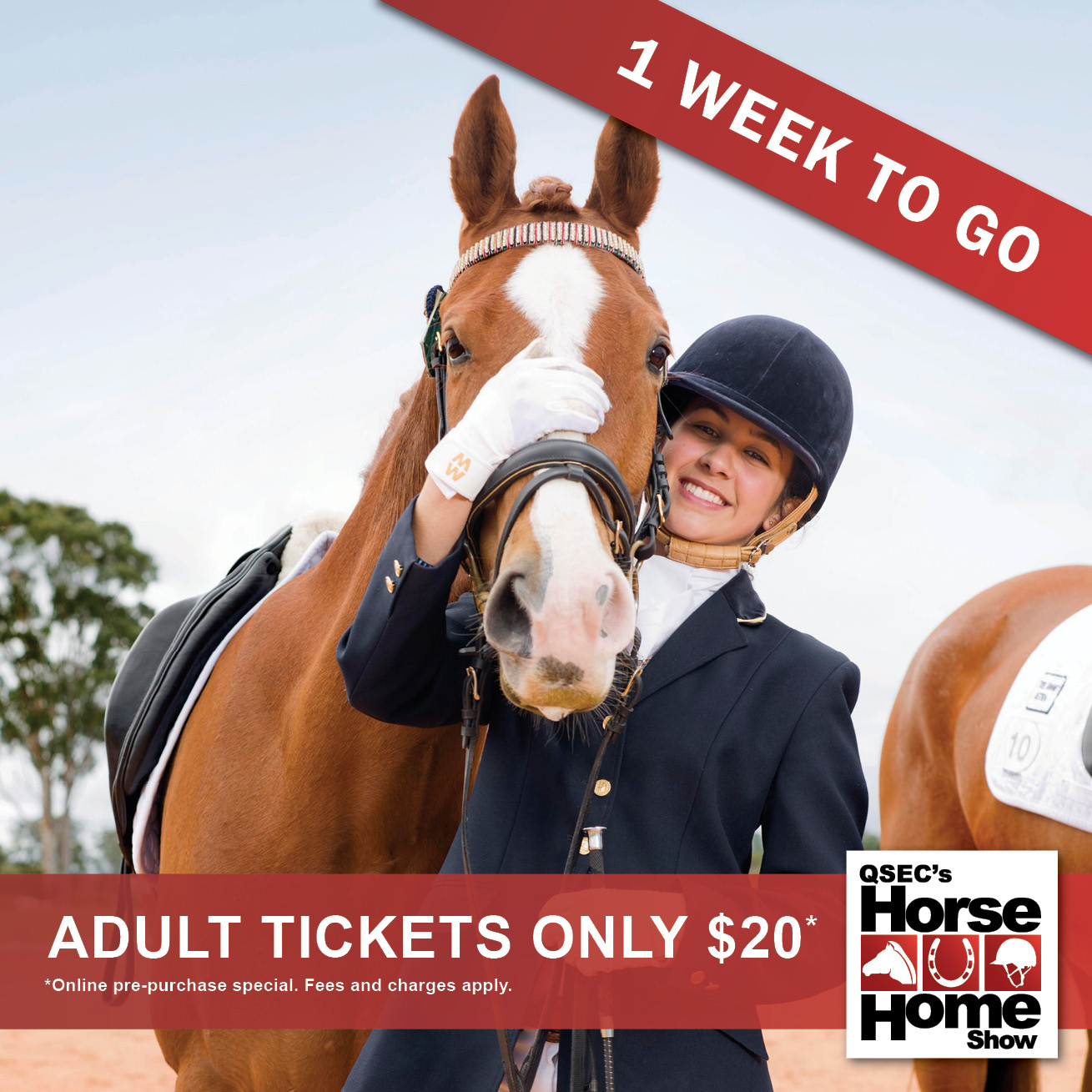 The team at... - QSEC (Queensland State Equestrian Centre)