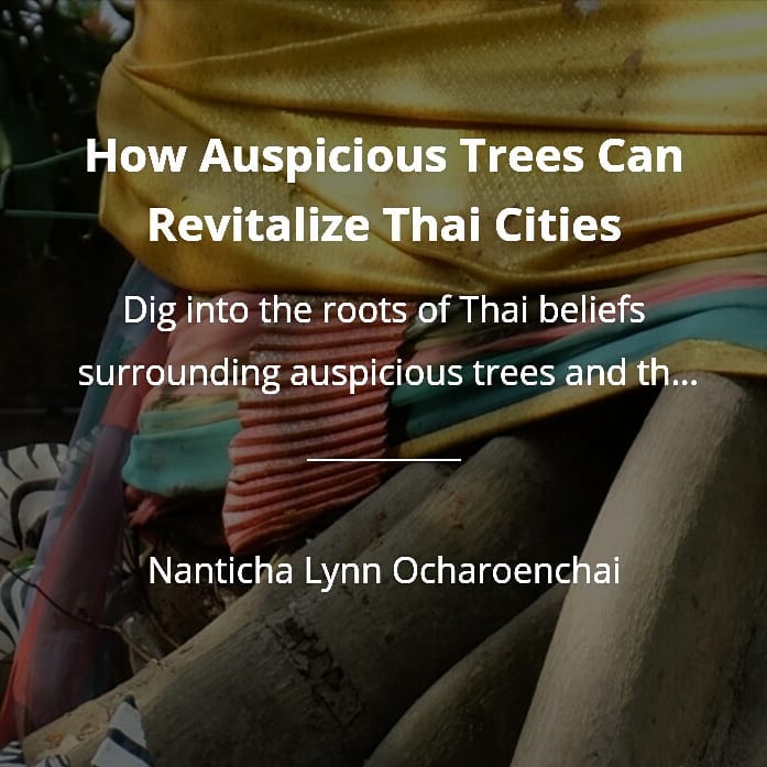 How Auspicious Trees Can... - สถานเอกอัครราชทูต ณ กรุงเตหะราน | Facebook