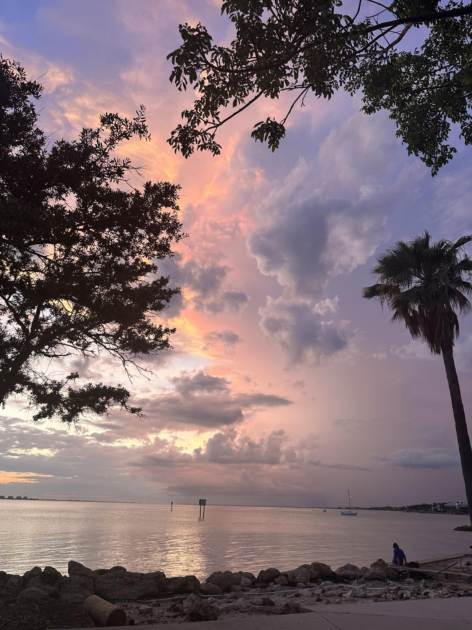 Stellar Sarasota sunset on a brisk November evening. 📷 Ross Stepanek