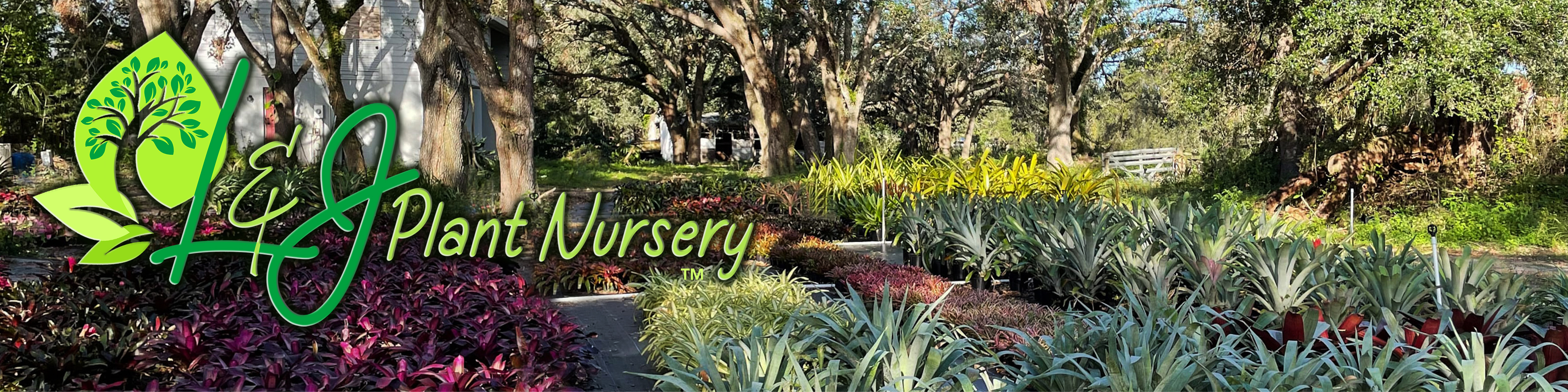 L&J Nursery