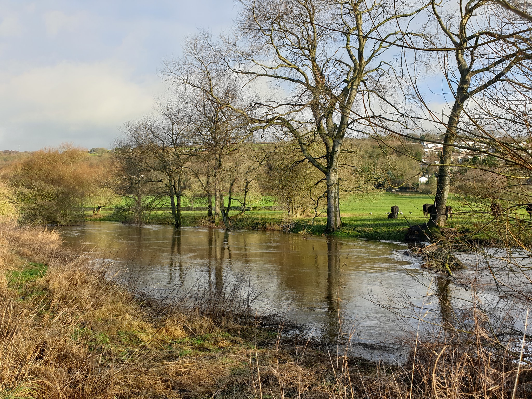 A few sunny images of the River Aire... - Aire Rivers Trust