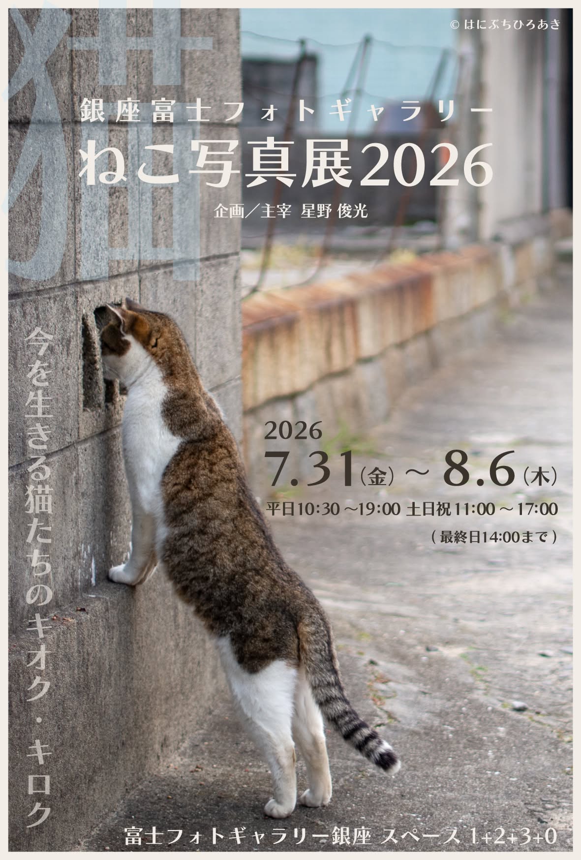 Masayuki Oki (@masayuki.oki.7) • Facebook