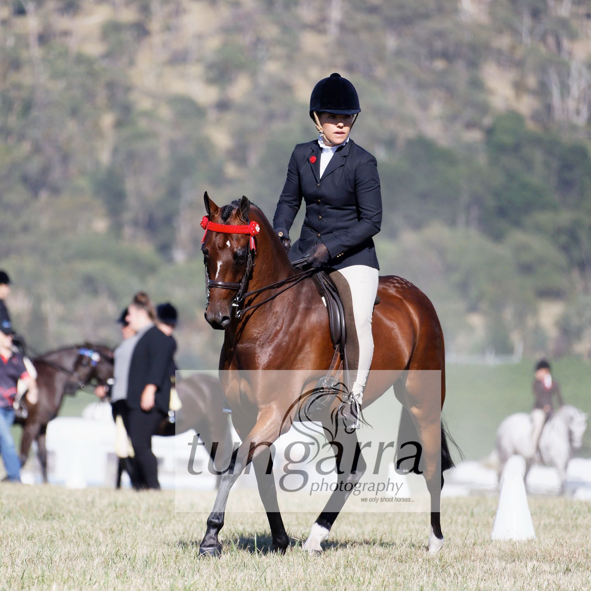 Tungarra Stud & Photography