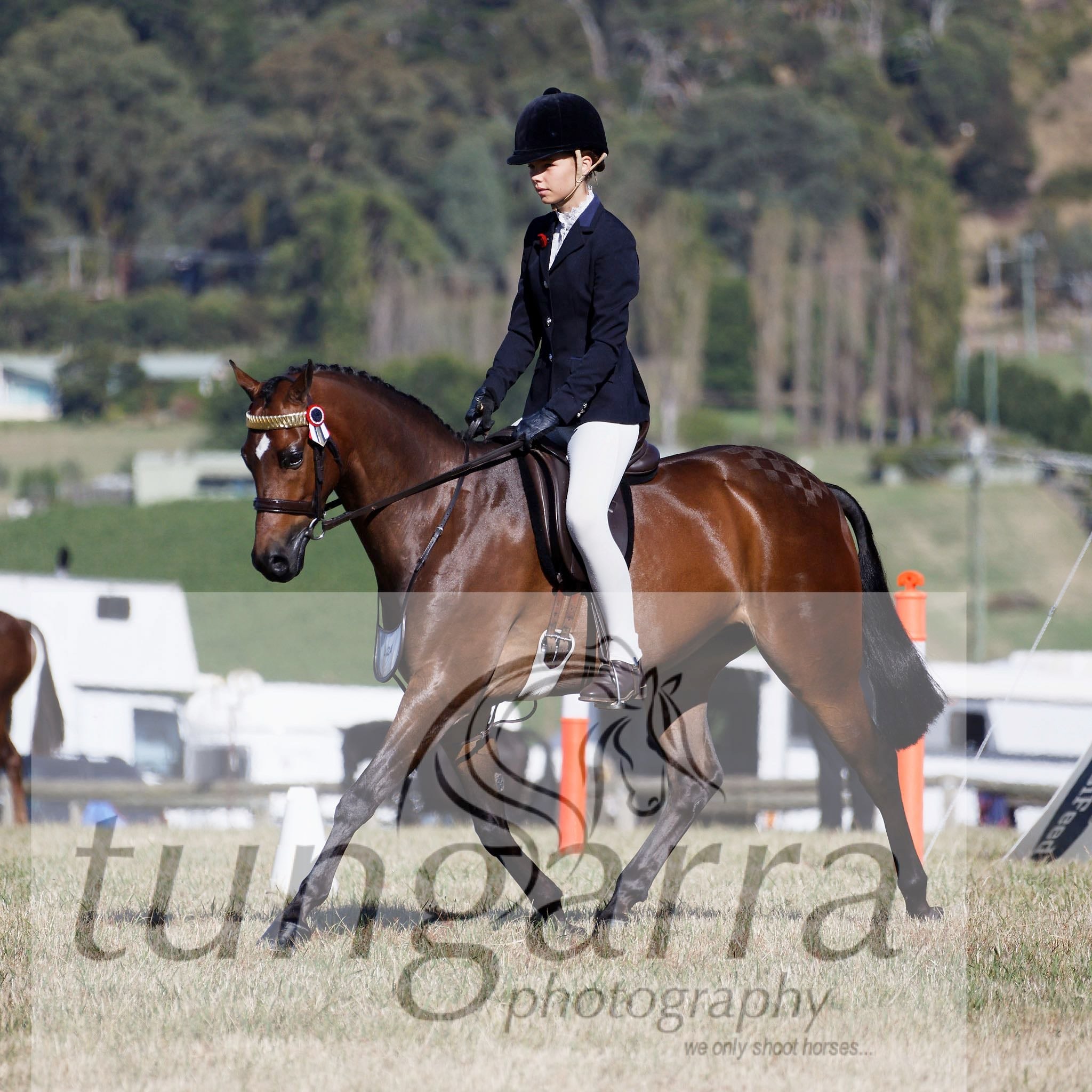 Tungarra Stud & Photography