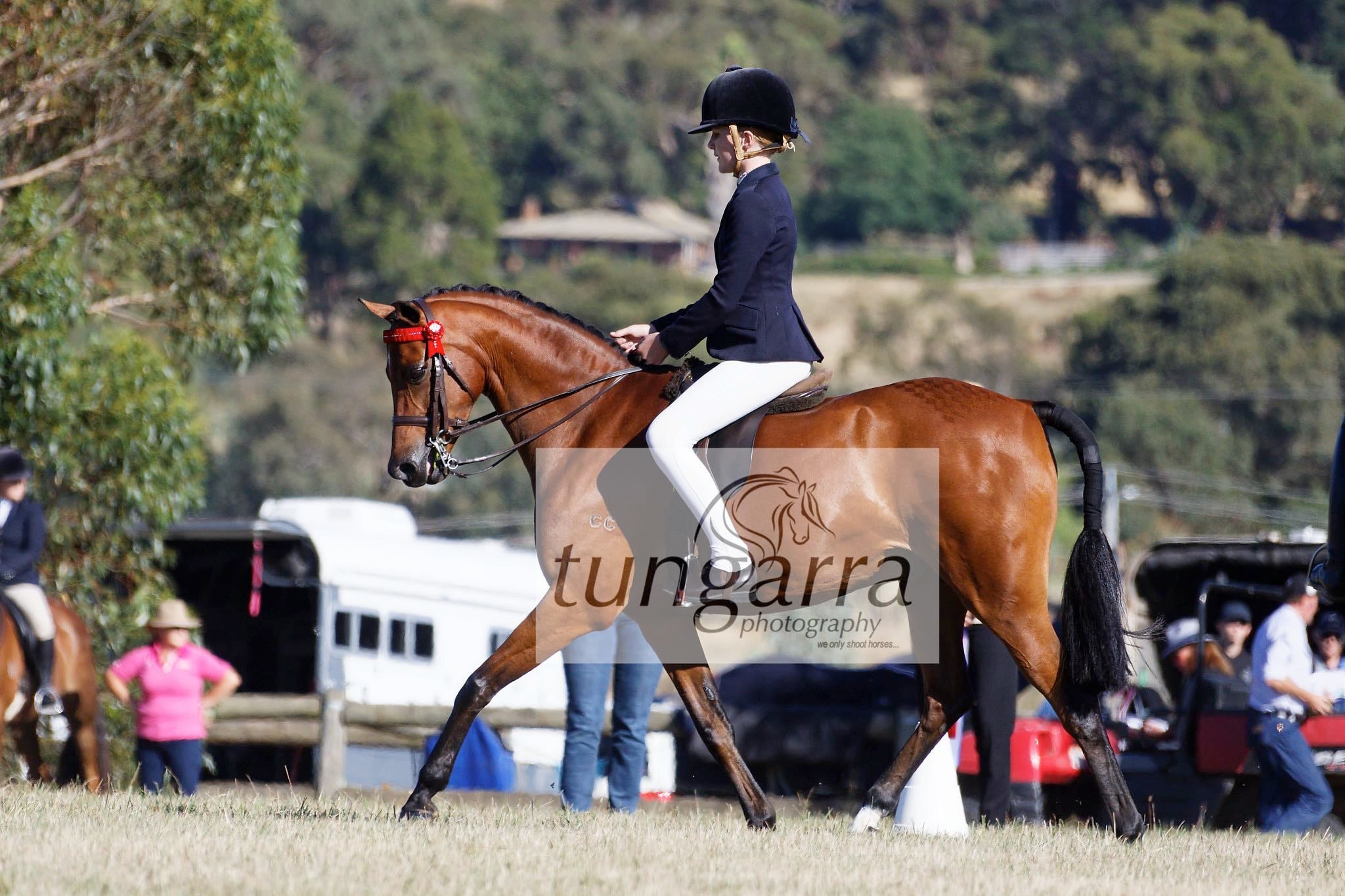 Tungarra Stud & Photography