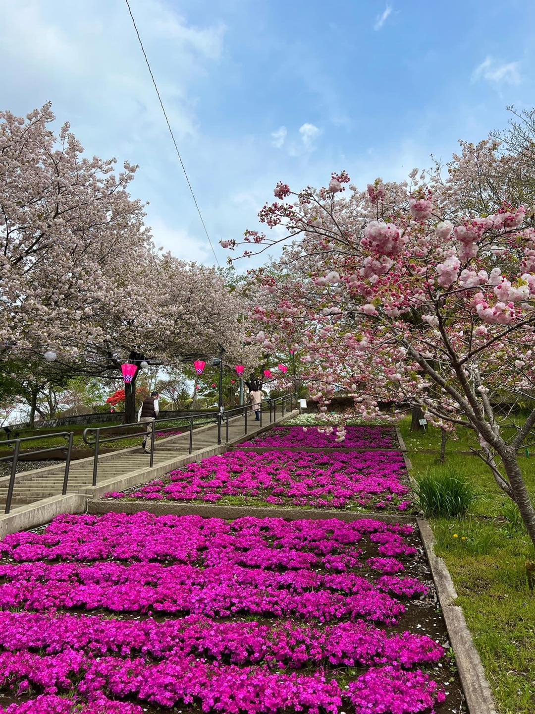 Nakayama Festa memorial flower spot at Urakawa Yushun Village AERU