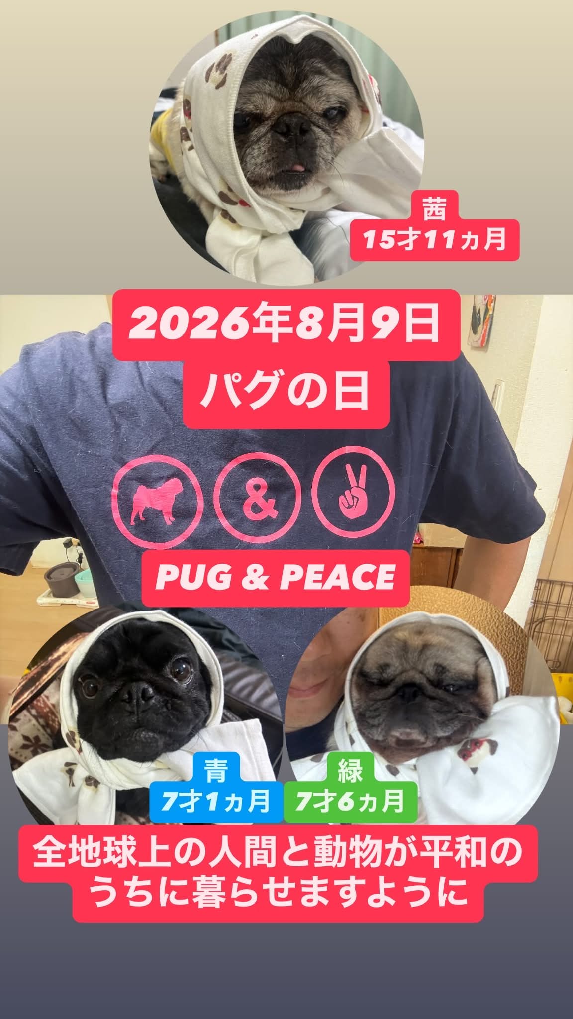 パグ子ページ パグっこ89倶楽部 | Facebook