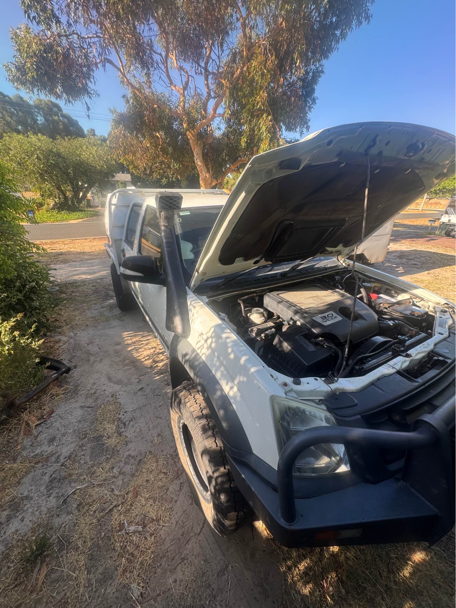 Ra7 rodeo - Cars & Trucks - Capel, Western Australia | Facebook ...